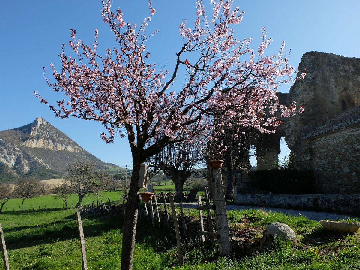 Auberge Du Prieure Saint-André-de-Rosans エクステリア 写真