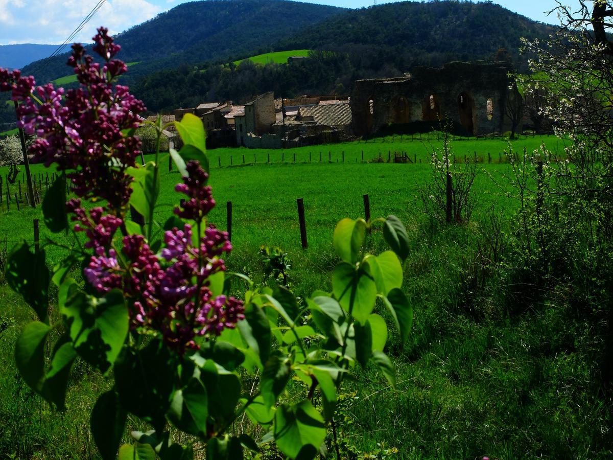 Auberge Du Prieure Saint-André-de-Rosans エクステリア 写真
